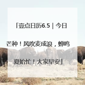 壹点日历6.5｜今日芒种！风吹麦成浪，蝉鸣夏始忙！大家早安