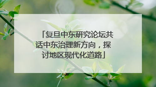 复旦中东研究论坛共话中东治理新方向，探讨地区现代化道路