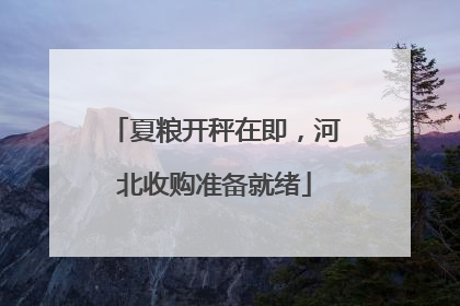 夏粮开秤在即，河北收购准备就绪