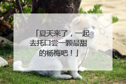 夏天来了，一起去托口尝一颗最甜的杨梅吧！