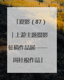 夏影（87）｜上游主题摄影征稿作品展——周社根作品