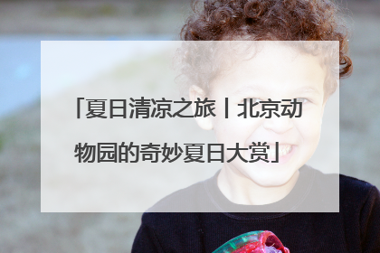 夏日清凉之旅丨北京动物园的奇妙夏日大赏