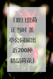 夏日赏荷正当时 茶亭公园展出近200种精品荷花