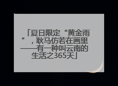 夏日限定“黄金雨”，耿马仿若在画里——有一种叫云南的生活之365天
