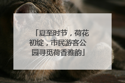 夏至时节，荷花初绽，市民游客公园寻觅荷香雅韵