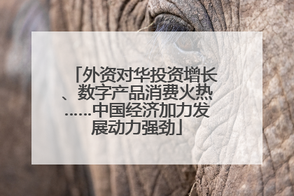 外资对华投资增长、数字产品消费火热……中国经济加力发展动力强劲