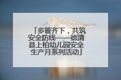 多管齐下，共筑安全防线——德清县上柏幼儿园安全生产月系列活动