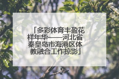 多彩体育丰盈花样年华——河北省秦皇岛市海港区体教融合工作掠影