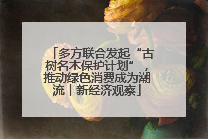 多方联合发起“古树名木保护计划”，推动绿色消费成为潮流丨新经济观察