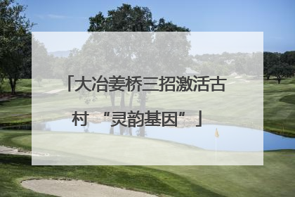大冶姜桥三招激活古村 “灵韵基因”