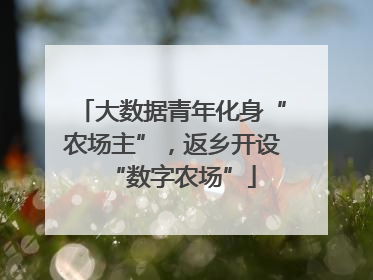 大数据青年化身“农场主”，返乡开设“数字农场”