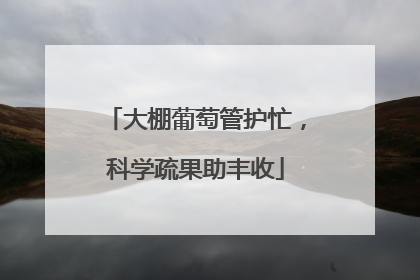 大棚葡萄管护忙，科学疏果助丰收