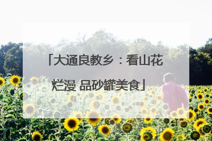 大通良教乡：看山花烂漫 品砂罐美食