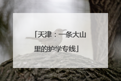 天津：一条大山里的护学专线