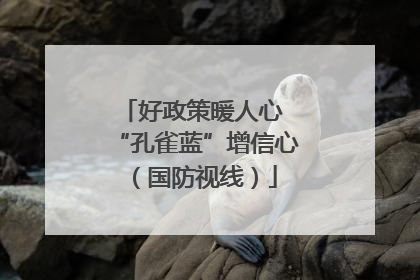 好政策暖人心 “孔雀蓝”增信心（国防视线）