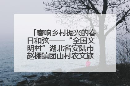 奏响乡村振兴的春日和弦——“全国文明村”湖北省安陆市赵棚镇团山村农文旅融合发展见闻
