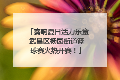奏响夏日活力乐章 武昌区杨园街道篮球赛火热开赛！