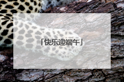 快乐迎端午