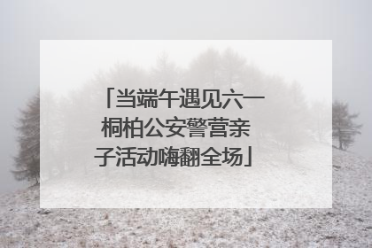 当端午遇见六一 桐柏公安警营亲子活动嗨翻全场