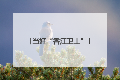 当好“香江卫士”