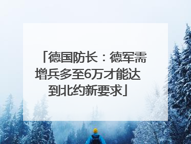 德国防长：德军需增兵多至6万才能达到北约新要求