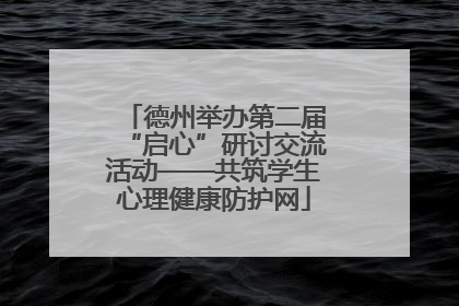 德州举办第二届“启心”研讨交流活动——共筑学生心理健康防护网