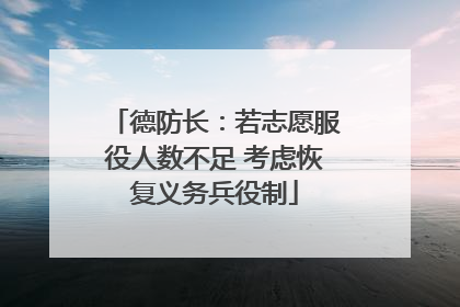 德防长：若志愿服役人数不足 考虑恢复义务兵役制