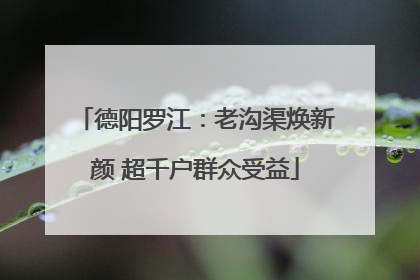 德阳罗江：老沟渠焕新颜 超千户群众受益