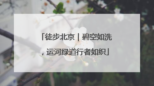 徒步北京｜碧空如洗，运河绿道行者如织