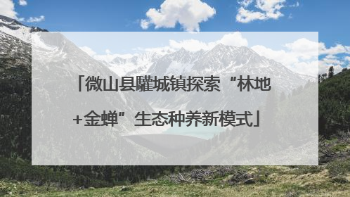 微山县驩城镇探索“林地+金蝉”生态种养新模式