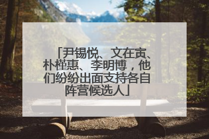 尹锡悦、文在寅、朴槿惠、李明博，他们纷纷出面支持各自阵营候选人