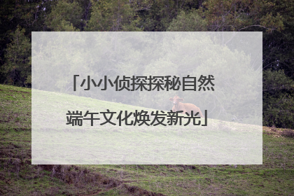 小小侦探探秘自然 端午文化焕发新光