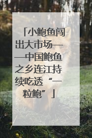 小鲍鱼闯出大市场——中国鲍鱼之乡连江持续吃透“一粒鲍”