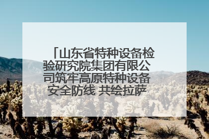 山东省特种设备检验研究院集团有限公司筑牢高原特种设备安全防线 共绘拉萨美好生活画卷
