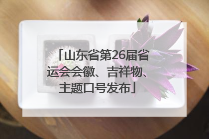山东省第26届省运会会徽、吉祥物、主题口号发布