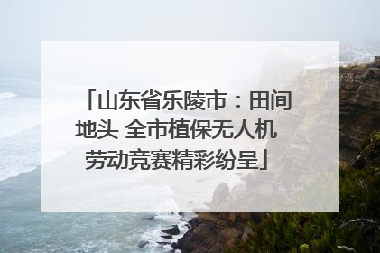 山东省乐陵市：田间地头 全市植保无人机劳动竞赛精彩纷呈