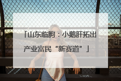 山东临朐：小鹅肝拓出产业富民“新赛道”