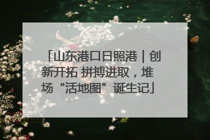 山东港口日照港｜创新开拓 拼搏进取，堆场“活地图”诞生记