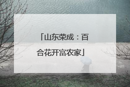 山东荣成：百合花开富农家
