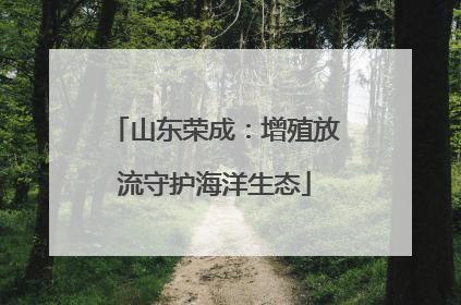 山东荣成：增殖放流守护海洋生态