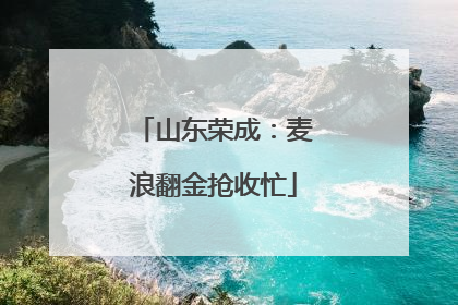 山东荣成：麦浪翻金抢收忙