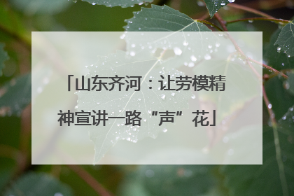 山东齐河：让劳模精神宣讲一路“声”花