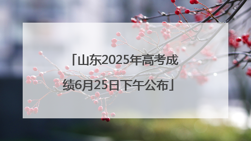 山东2025年高考成绩6月25日下午公布