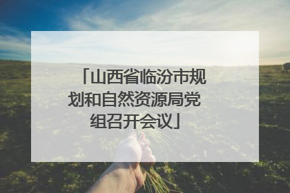 山西省临汾市规划和自然资源局党组召开会议