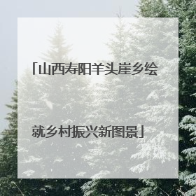 山西寿阳羊头崖乡绘就乡村振兴新图景