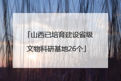 山西已培育建设省级文物科研基地26个