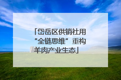 岱岳区供销社用“全链思维”重构羊肉产业生态