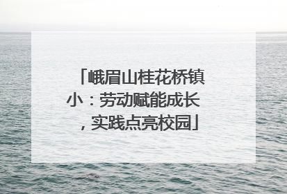 峨眉山桂花桥镇小：劳动赋能成长，实践点亮校园