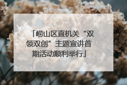 崂山区直机关“双领双创”主题宣讲首期活动顺利举行