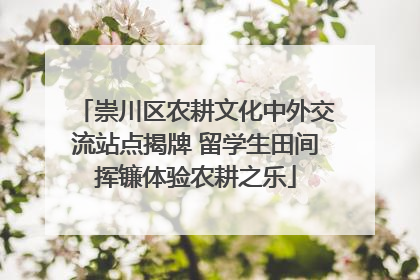 崇川区农耕文化中外交流站点揭牌 留学生田间挥镰体验农耕之乐